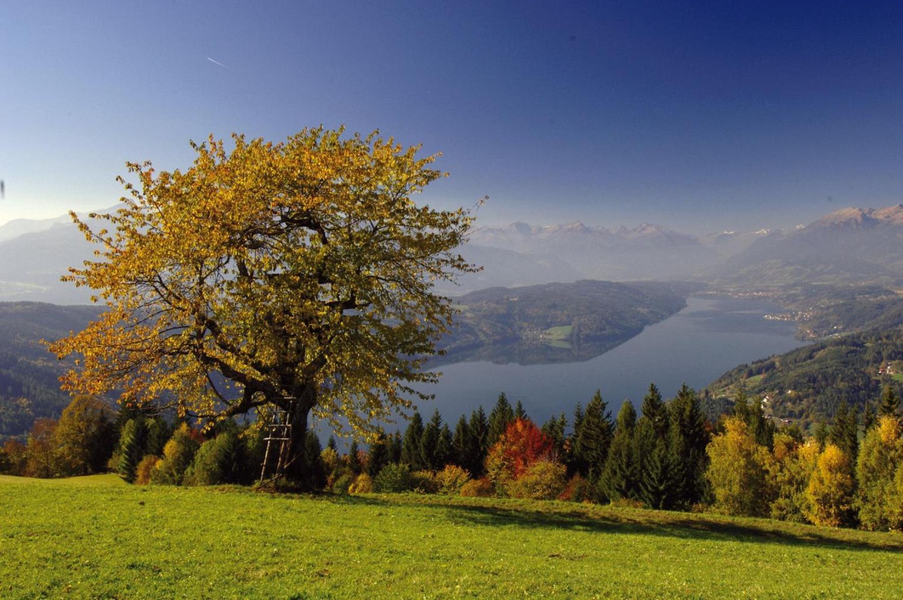 Gasthof Pension Perauer Lieserhofen Экстерьер фото